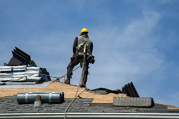 Professional Roof Replacement technician working in Hitchins, KY